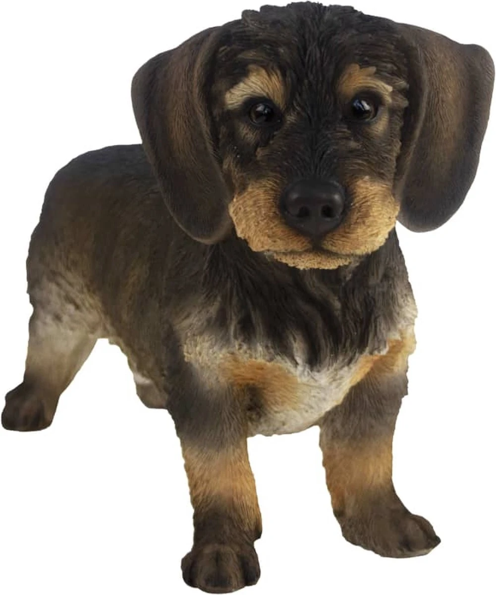 Esschert Design Teckel 50 X 27.8 Cm Polyrésine Marron / Noir