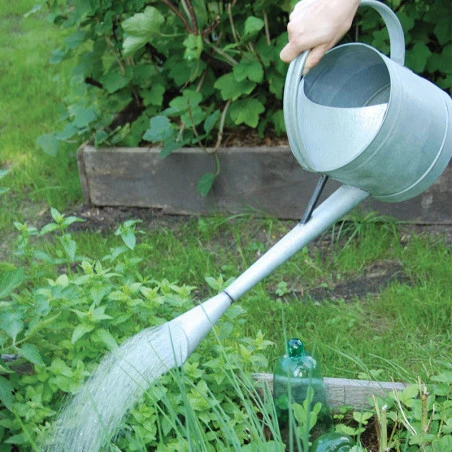 ESSCHERT DESIGN Arrosoir Ancien En Zinc Buse Amovible 4,6L – Image 3