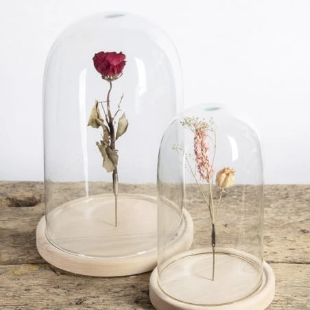 ESSCHERT DESIGN Cloche Verre Deco Jardinage Avec Pince 31cm – Image 4