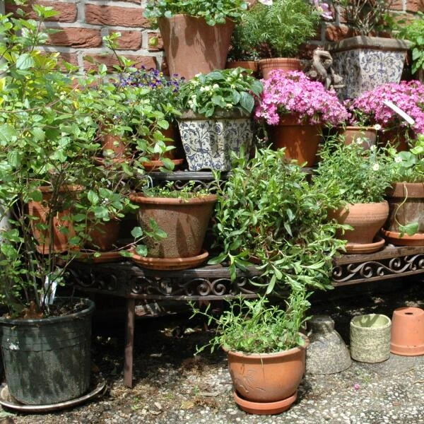 ESSCHERT DESIGN Etagère Pour Plantes En Fonte – Image 2