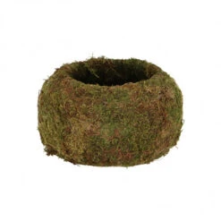 ESSCHERT DESIGN Kokedama Boule De Mousse 15 Cm