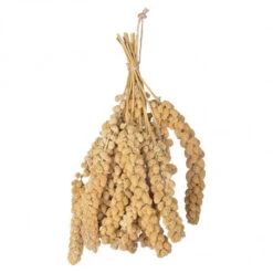 ESSCHERT DESIGN Millet Pour Oiseaux 400 Gr