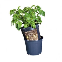 ESSCHERT DESIGN Pot De Culture Pommes De Terre 30 Cm