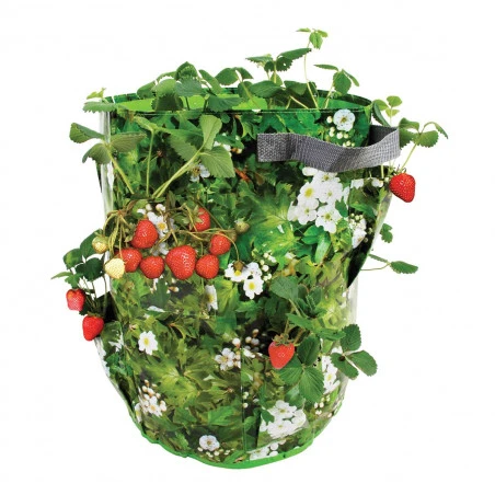 ESSCHERT DESIGN Sac à Plantation Fraises Pour Terrasse – Image 2